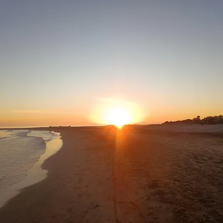 Le Deauville *